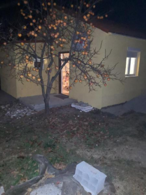 Apartman Lazic